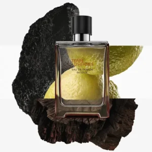 TERRE D'HERMES EAU DE PARFUM INTENSE (2)