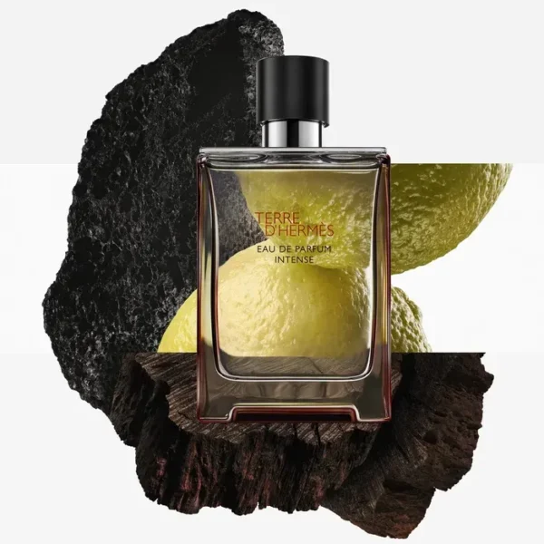 TERRE D'HERMES EAU DE PARFUM INTENSE (2)